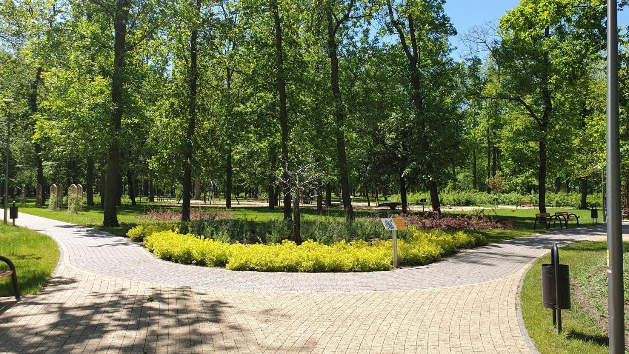 Hotel Nadodrzanski Dwor - Нова-Суль Экстерьер фото